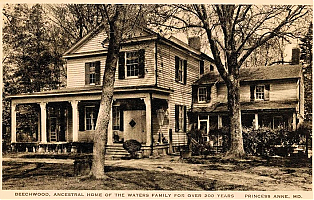 Filename=beechwood-princessanne.jpg
Filesize=238KiB
Dimensions=707x449
Date added=Sep 05, 2026 beechwood-princessanne.jpg