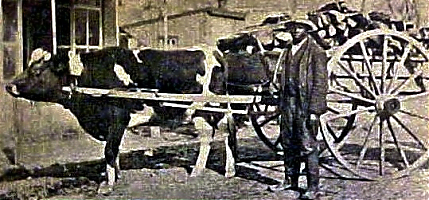 Filename=princessanne1908.jpg
Filesize=91KiB
Dimensions=539x251
Date added=Sep 05, 2026 princessanne1908.jpg