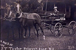 Filename=rockandrye-jttaylor-princessanne1907.jpg
Filesize=122KiB
Dimensions=643x421
Date added=Sep 05, 2026 rockandrye-jttaylor-princessanne1907.jpg