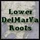 LOWER-DELMARVA-ROOTS-L